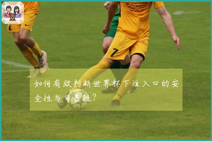 如何有效判断世界杯下注入口的安全性与可靠性？