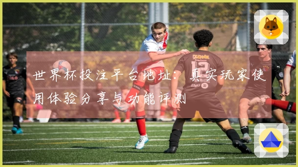 世界杯投注平台地址：真实玩家使用体验分享与功能评测