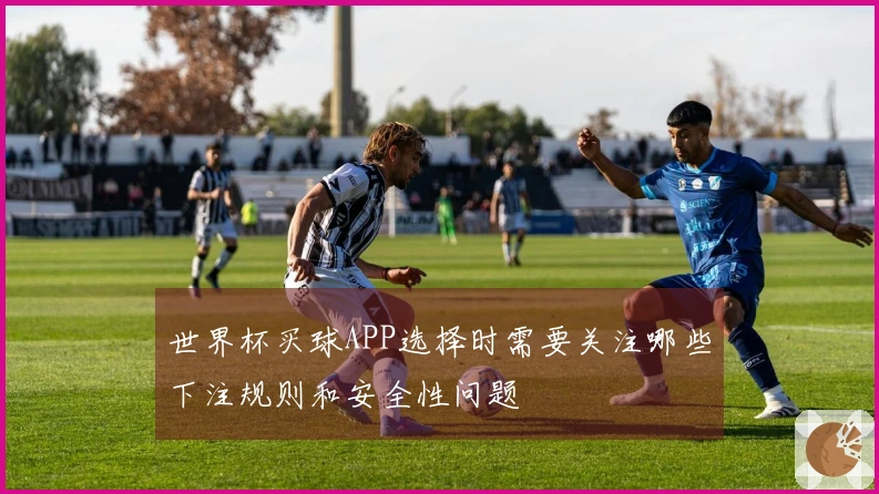 世界杯买球APP选择时需要关注哪些下注规则和安全性问题
