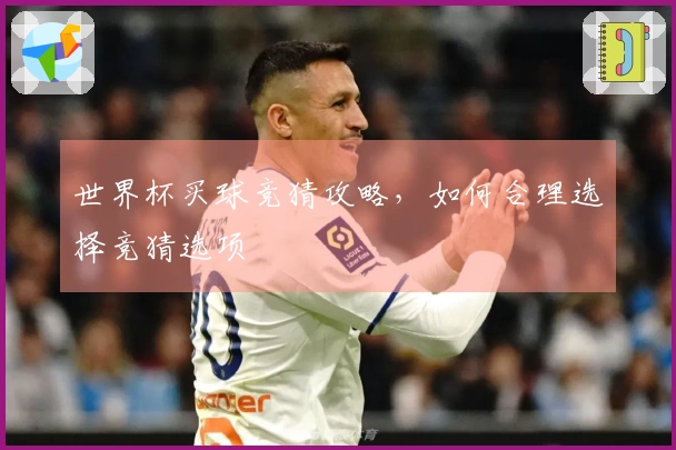 世界杯买球竞猜攻略，如何合理选择竞猜选项