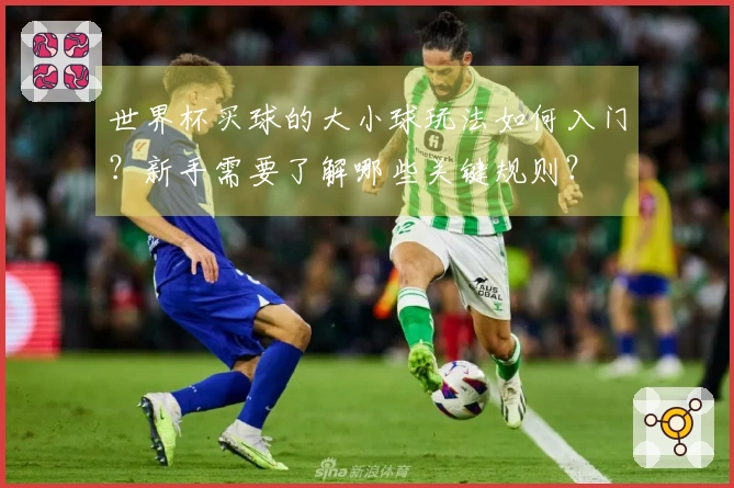 世界杯买球的大小球玩法如何入门？新手需要了解哪些关键规则？