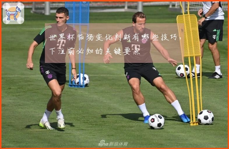 世界杯临场变化判断有哪些技巧，下注前必知的关键要点