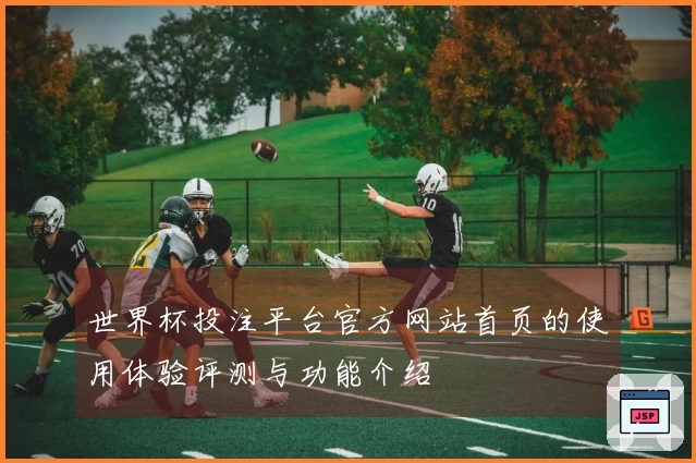 世界杯投注平台官方网站首页的使用体验评测与功能介绍