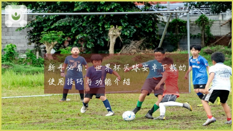 新手必看:世界杯买球安卓下载的使用技巧与功能介绍