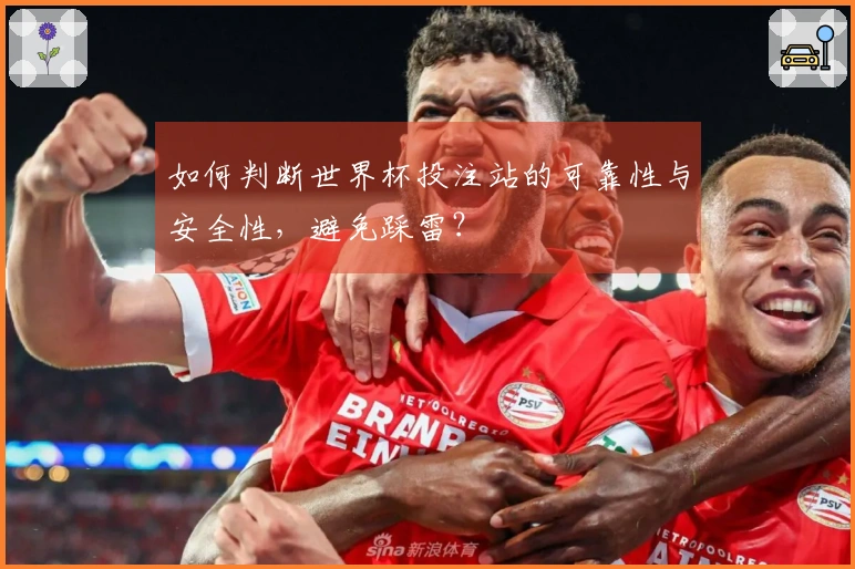如何判断世界杯投注站的可靠性与安全性，避免踩雷？