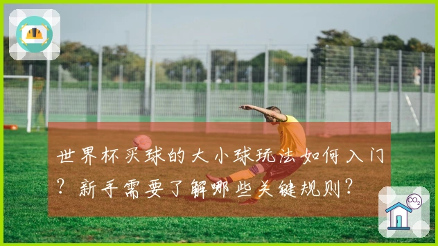 世界杯买球的大小球玩法如何入门？新手需要了解哪些关键规则？