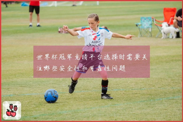 世界杯冠军竞猜平台选择时需要关注哪些安全性和可靠性问题