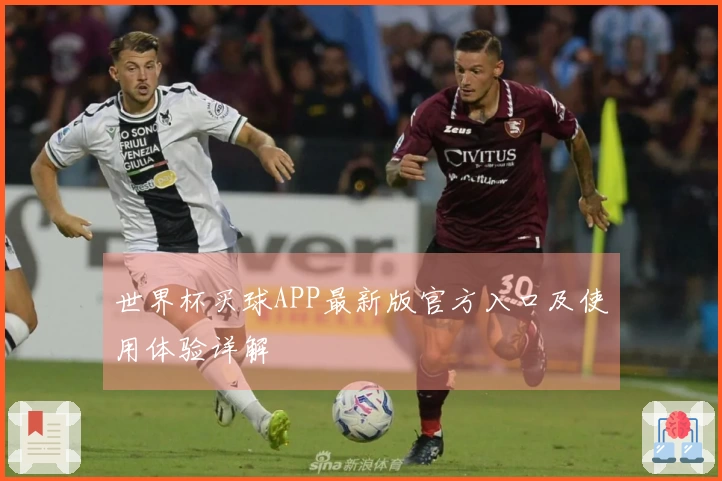 世界杯买球APP最新版官方入口及使用体验详解