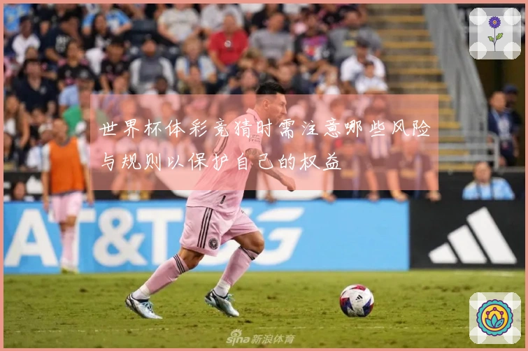 世界杯体彩竞猜时需注意哪些风险与规则以保护自己的权益