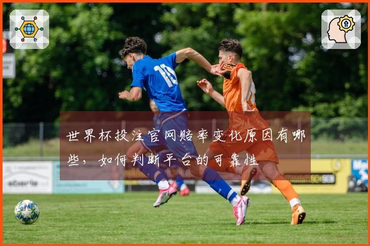 世界杯投注官网赔率变化原因有哪些，如何判断平台的可靠性