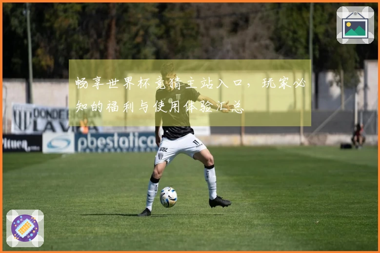 畅享世界杯竞猜主站入口，玩家必知的福利与使用体验汇总