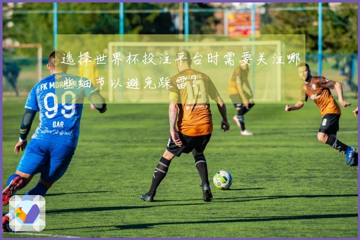 选择世界杯投注平台时需要关注哪些细节以避免踩雷？