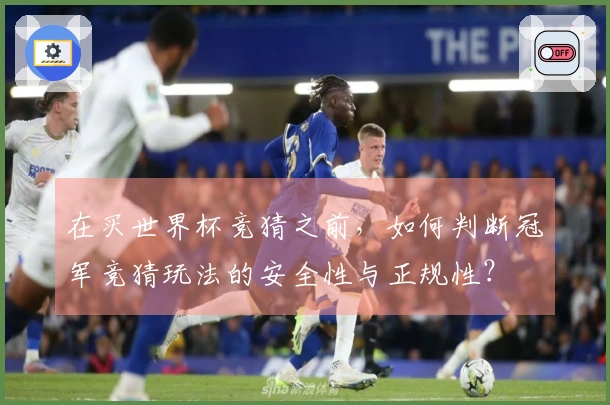 在买世界杯竞猜之前，如何判断冠军竞猜玩法的安全性与正规性？