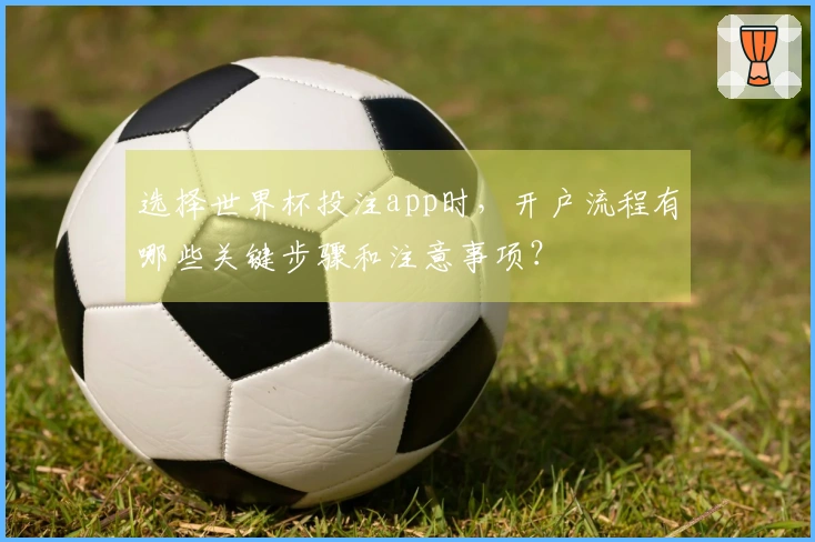 选择世界杯投注app时，开户流程有哪些关键步骤和注意事项？